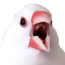 :angery: